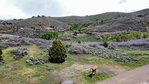 Property view of mountains