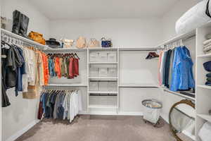 Spacious closet featuring light carpet