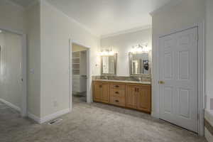 Bathroom with crown molding and vanity