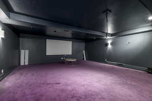 Cinema featuring carpet floors