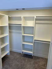 Spacious closet with dark colored carpet