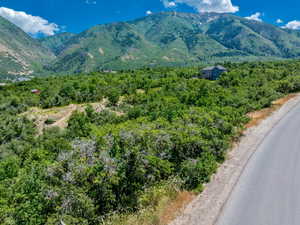 Roadside Property with Mountain Views