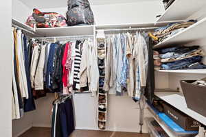 Walk in closet featuring carpet flooring