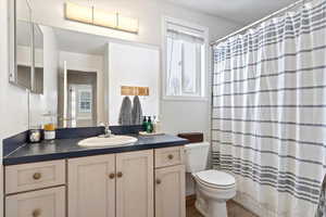 Bathroom with vanity, toilet, and wood-type flooring