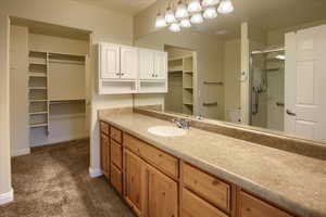 Bathroom with vanity and walk in shower