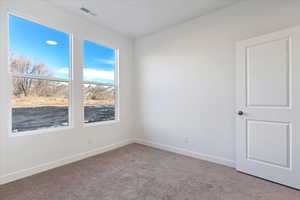 Unfurnished room featuring light colored carpet