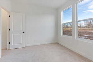 Unfurnished room featuring light carpet