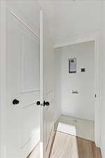 Bathroom featuring wood-type flooring