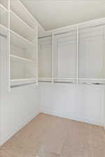 Spacious closet with carpet flooring