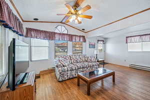 Living room featuring light hardwood / wood-style floors, vaulted ceiling, and plenty of natural light