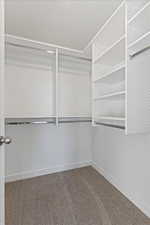 Walk in closet featuring carpet