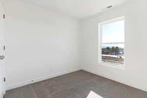 Carpeted spare room with plenty of natural light