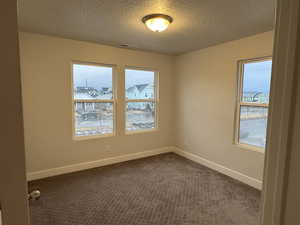 Carpeted spare room with a textured ceiling