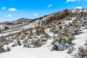 Photo 8 of 6393  PAINTED VALLEY PASS