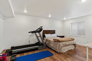 Bedroom with wood-type flooring