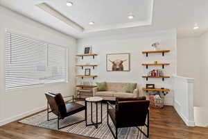 Living room featuring a tray ceiling and dark hardwood / wood-style floors