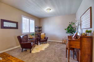 Living area featuring carpet and a textured ceiling