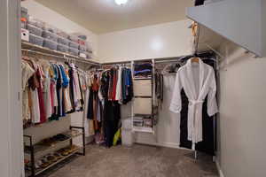 Spacious closet featuring carpet flooring