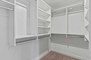 Walk in closet with carpet