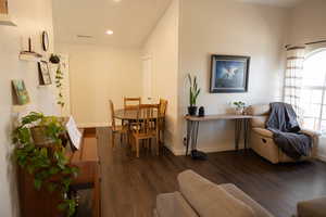 Living room featuring dark wood-type flooring