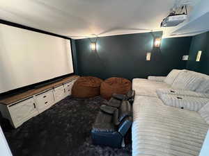 Cinema room featuring carpet