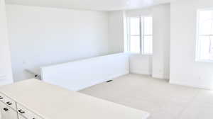 Unfurnished room featuring light carpet and a wealth of natural light