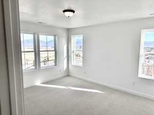 Carpeted empty room with a mountain view and a textured ceiling