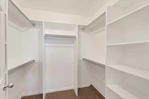 Walk in closet with carpet flooring