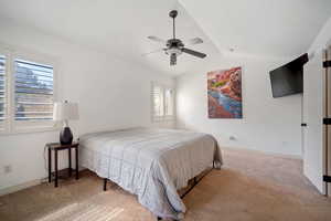 Bedroom featuring carpet, ceiling fan, and lofted ceiling