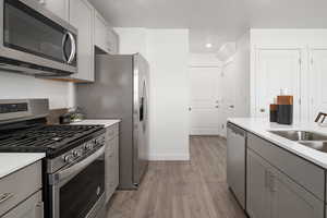 Kitchen with light wood-type flooring, stainless steel appliances, gray cabinets, and sink