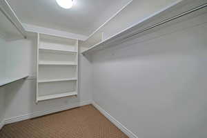 Walk in closet featuring carpet floors