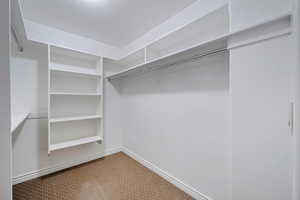 Spacious closet with carpet floors