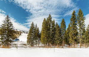 View of snowy landscape