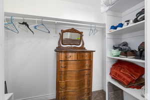 Spacious closet featuring carpet