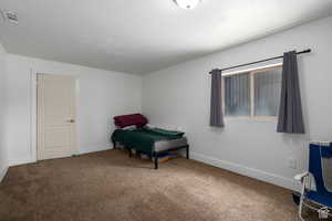 Bedroom with carpet floors