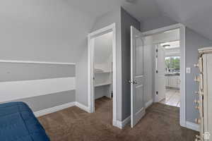 Walk in closet featuring carpet and vaulted ceiling