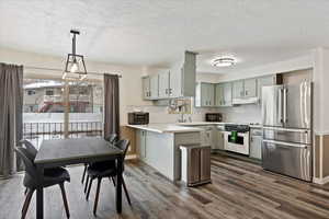 Kitchen with decorative backsplash, appliances with stainless steel finishes, sink, pendant lighting, and dark hardwood / wood-style floors