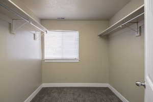 Walk in closet with dark colored carpet