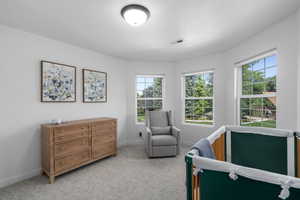 Carpeted bedroom with multiple windows