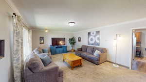 Living room featuring light carpet and a textured ceiling