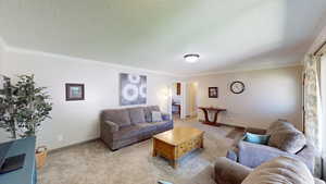 Living room featuring light carpet, a textured ceiling, and crown molding