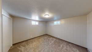 Basement with a textured ceiling, light colored carpet, and wood walls