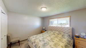 Bedroom featuring carpet, a textured ceiling, and a closet