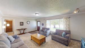 Living room with a textured ceiling and crown molding