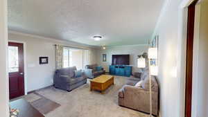 Living room featuring light colored carpet, ornamental molding, and a textured ceiling