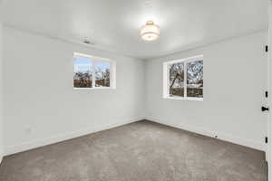 Unfurnished room with carpet flooring