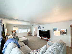 Living room with carpet