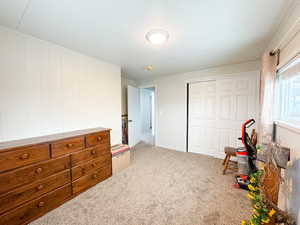 Carpeted bedroom featuring a closet