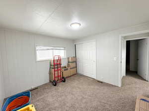 Recreation room featuring wood walls and light colored carpet