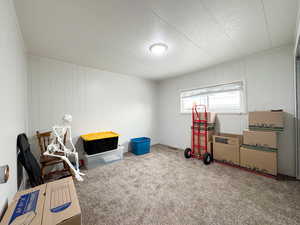 Recreation room featuring carpet